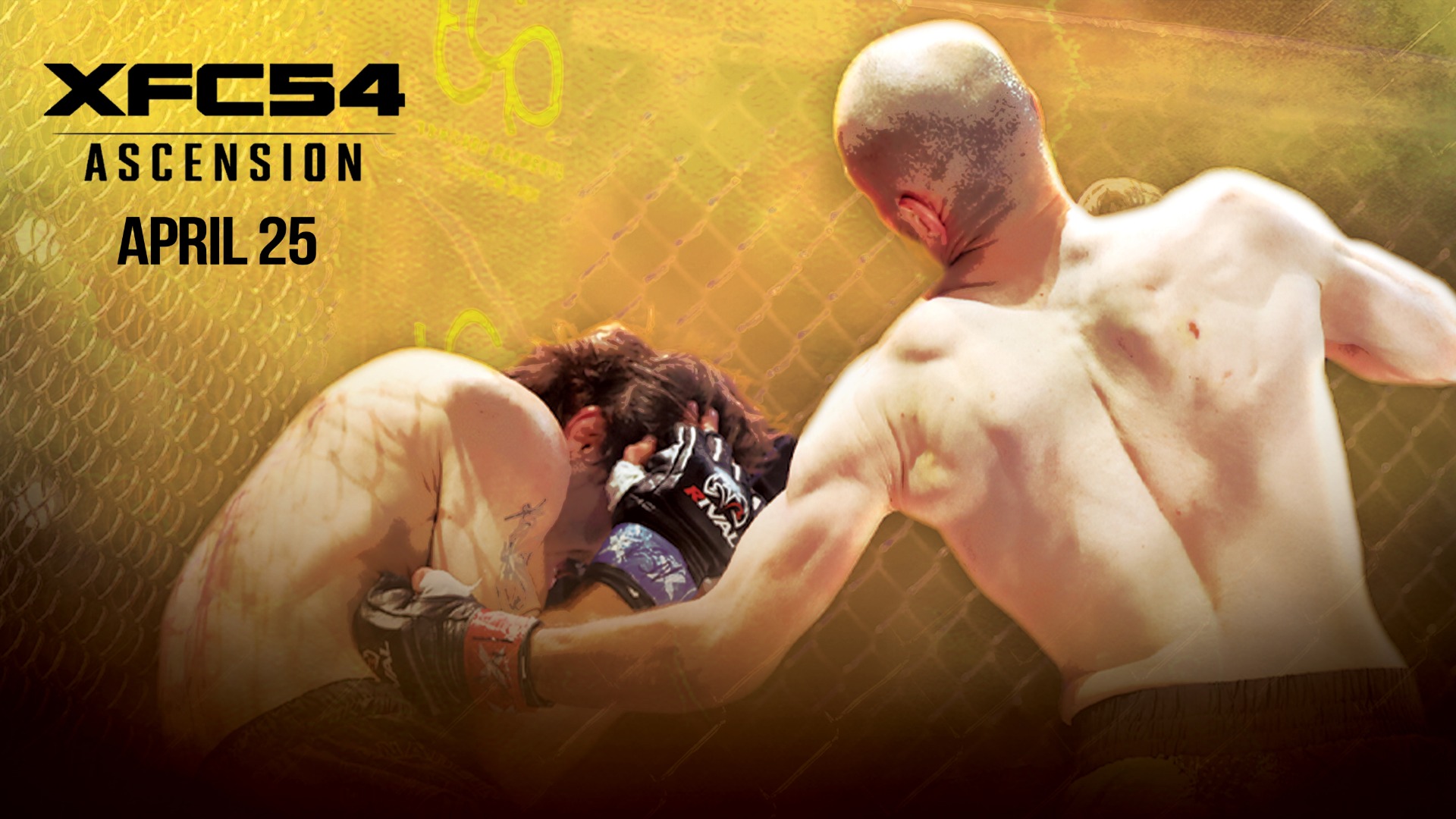 XFC54 | Ascension